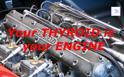Your thyroid is your engine – if it’s running slow, so are you!