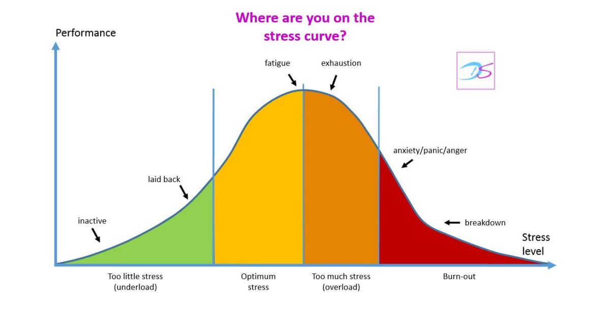 Stress curve